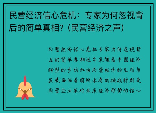 民营经济信心危机：专家为何忽视背后的简单真相？(民营经济之声)
